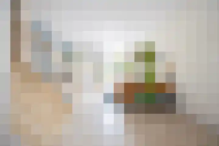 Wouwermanstraat 60 Haarlem thumbnail 14