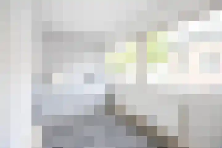 Wouwermanstraat 60 Haarlem thumbnail 31