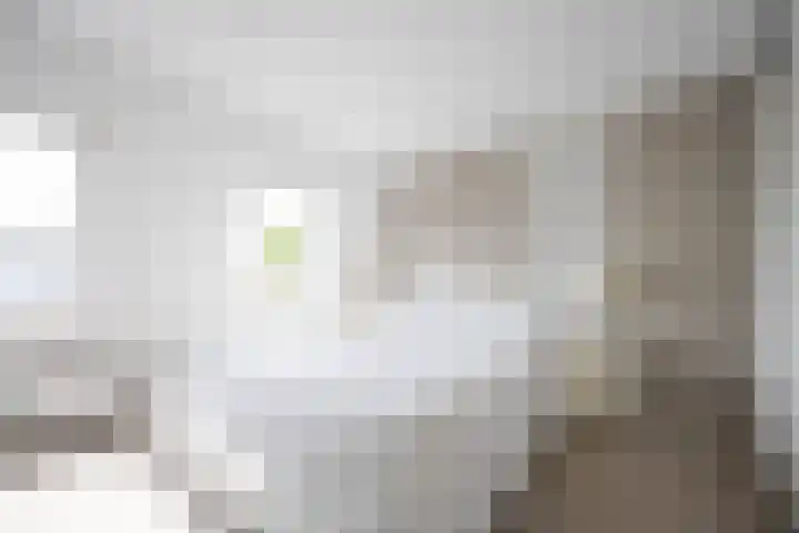 Wouwermanstraat 60 Haarlem thumbnail 36