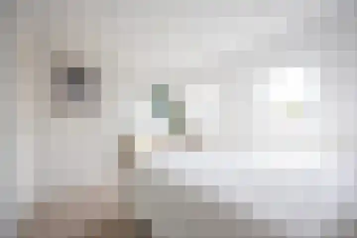 Wouwermanstraat 60 Haarlem thumbnail 37
