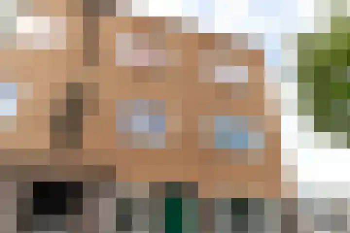 Wouwermanstraat 63 A in Den Haag