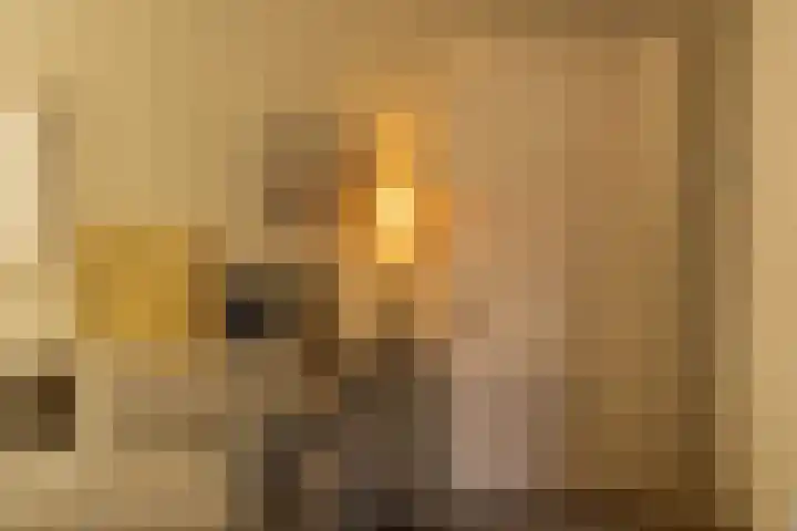 Wouwermanstraat 7 ZW Haarlem thumbnail 10