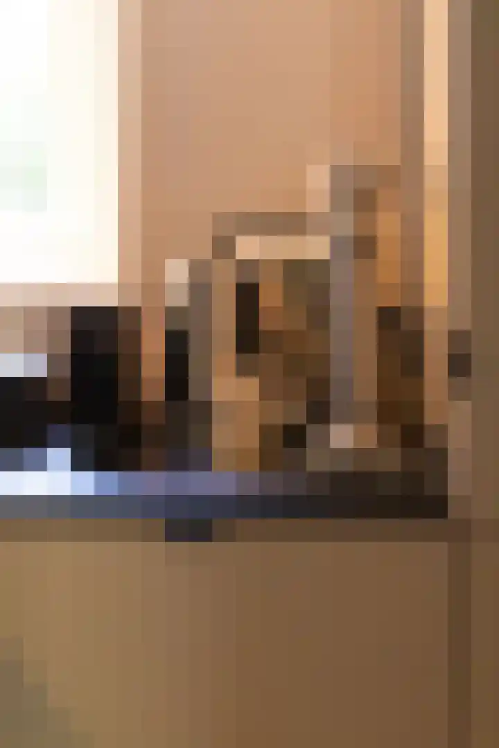Wouwermanstraat 7 ZW Haarlem thumbnail 15
