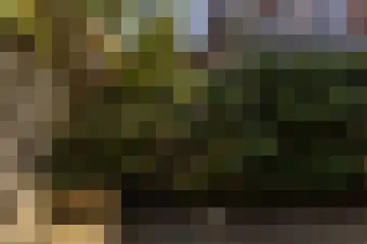 Wouwermanstraat 7 ZW Haarlem thumbnail 23
