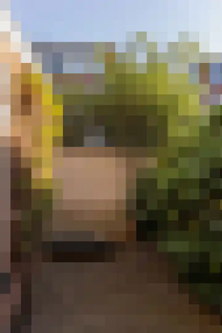 Wouwermanstraat 7 ZW Haarlem thumbnail 24