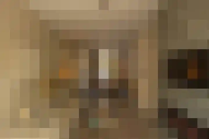 Wouwermanstraat 7 ZW Haarlem thumbnail 5