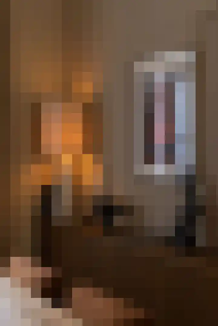 Wouwermanstraat 7 ZW Haarlem thumbnail 6