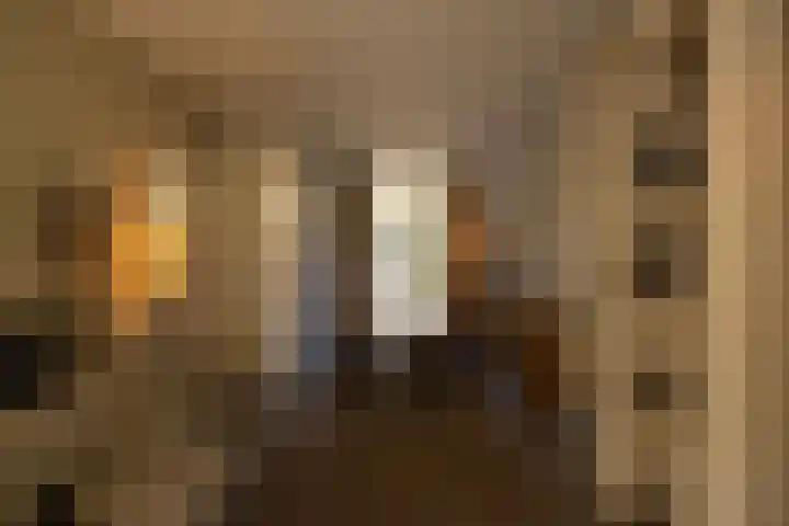 Wouwermanstraat 7 ZW Haarlem thumbnail 9