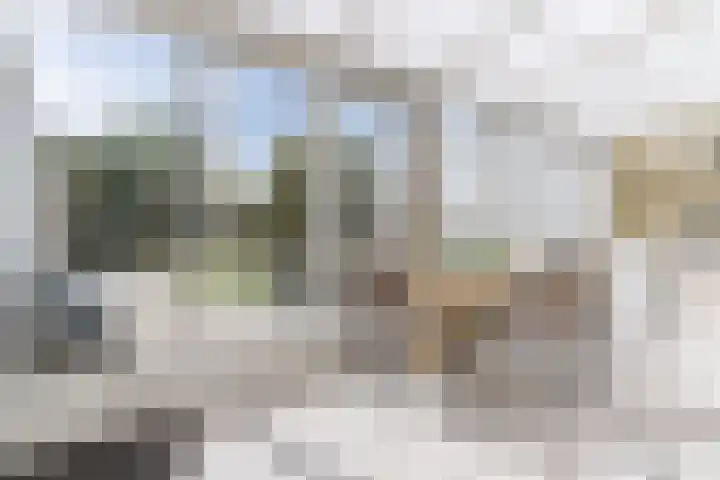 Wouwerstraat 7 Hilvarenbeek thumbnail 14