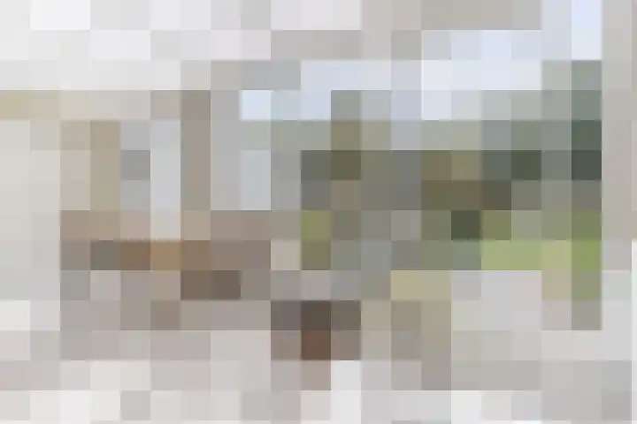 Wouwerstraat 7 Hilvarenbeek thumbnail 16