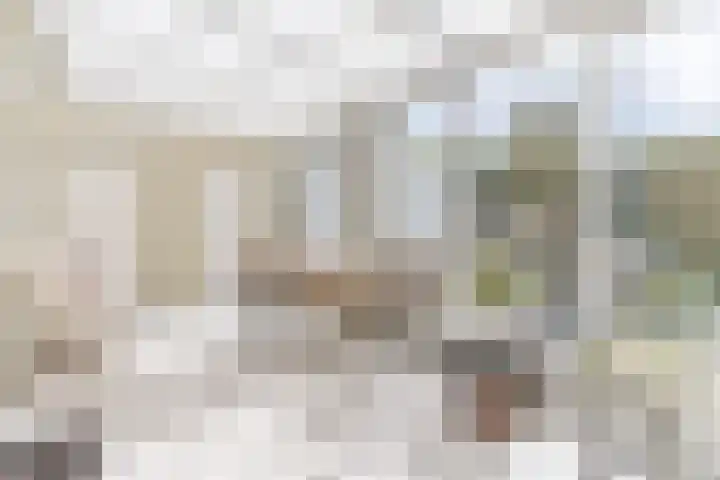 Wouwerstraat 7 Hilvarenbeek thumbnail 17