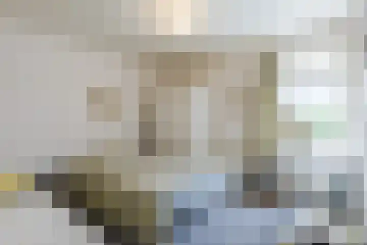 Wouwerstraat 7 Hilvarenbeek thumbnail 24