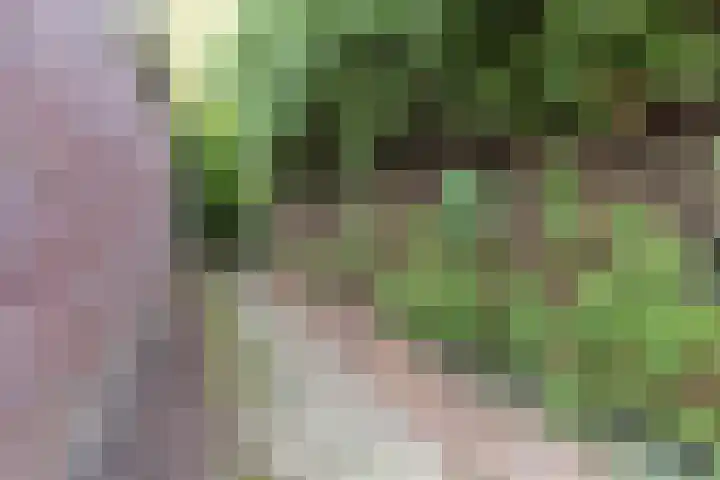 Wouwerstraat 7 Hilvarenbeek thumbnail 40