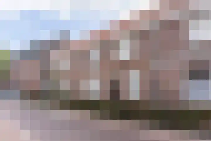 Wouwerstraat 7 Hilvarenbeek thumbnail 43