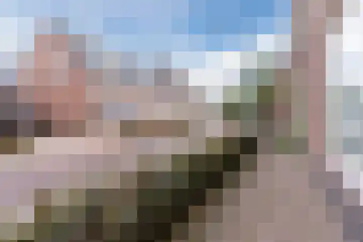Wouwerstraat 7 Hilvarenbeek thumbnail 45