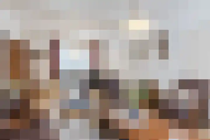Wouwerstraat 7 Hilvarenbeek thumbnail 6