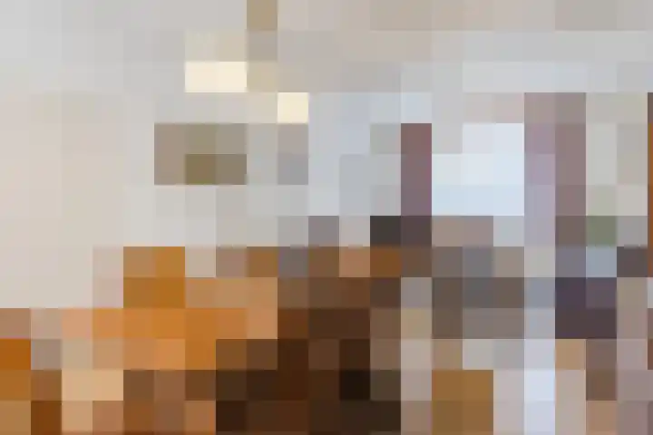 Wouwerstraat 7 Hilvarenbeek thumbnail 8