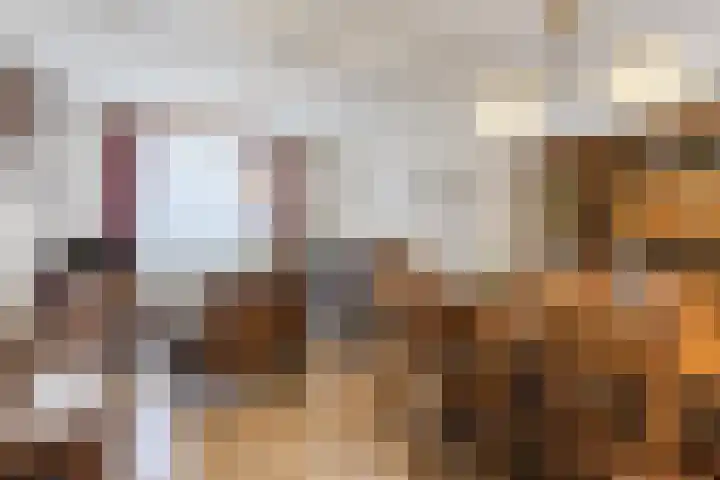Wouwerstraat 7 Hilvarenbeek thumbnail 9