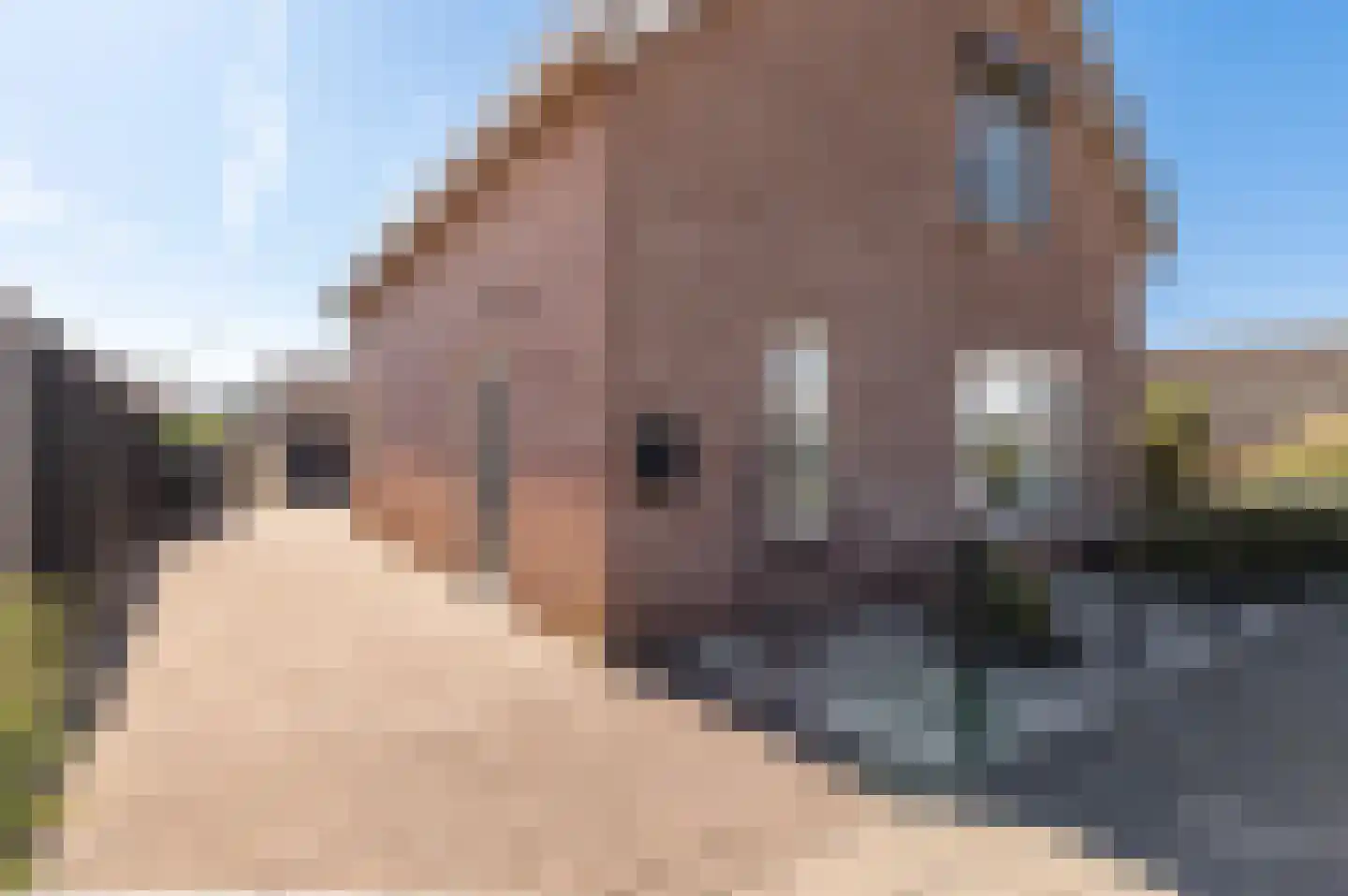 Wouwertweg 3 Meteren thumbnail 26