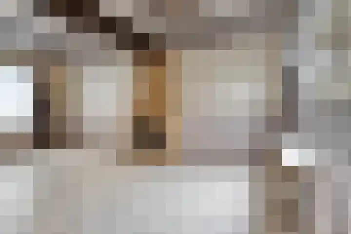 Wouwsestraat 1 Steenbergen thumbnail 11