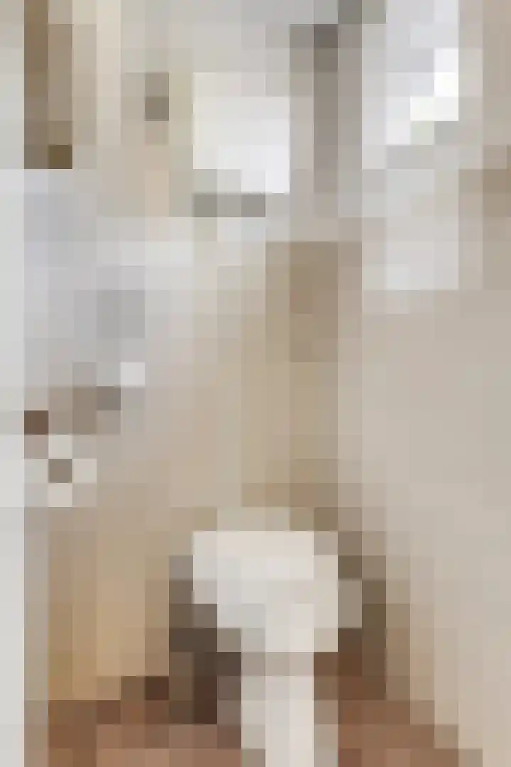 Wouwsestraat 1 Steenbergen thumbnail 17