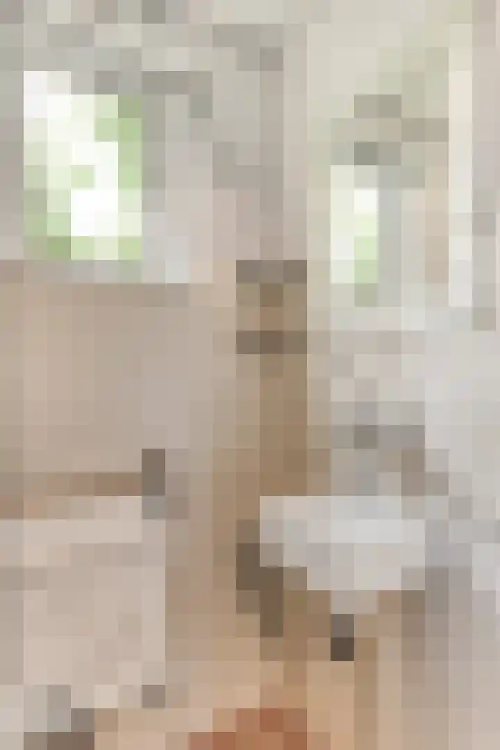 Wouwsestraat 1 Steenbergen thumbnail 18