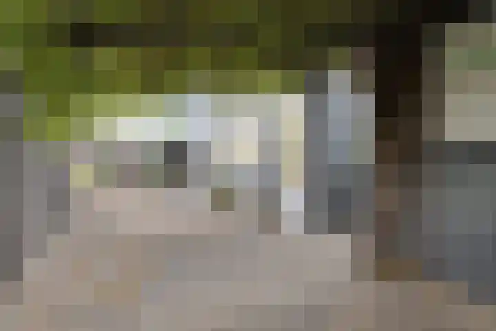 Wouwsestraat 1 Steenbergen thumbnail 29
