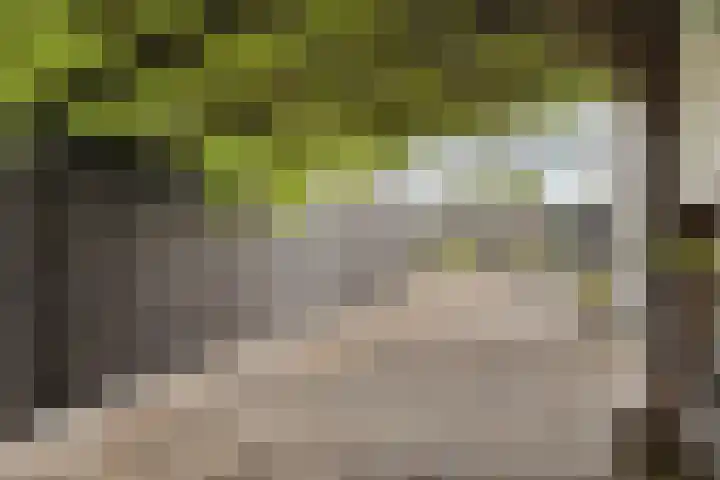 Wouwsestraat 1 Steenbergen thumbnail 30