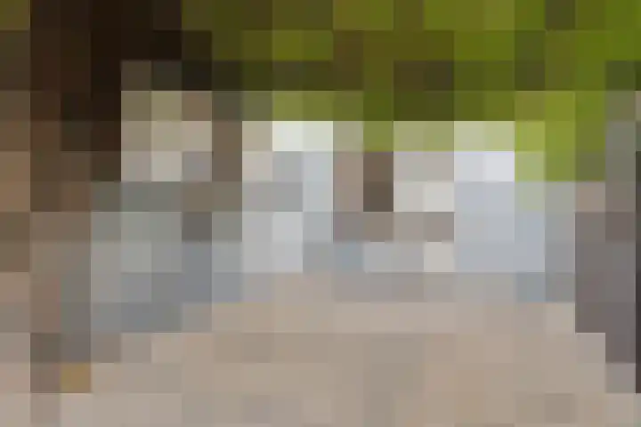 Wouwsestraat 1 Steenbergen thumbnail 31
