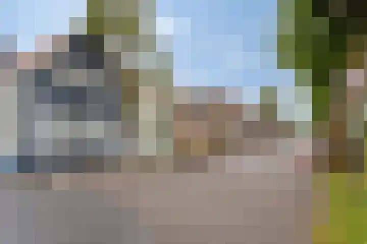 Wouwsestraat 1 Steenbergen thumbnail 4