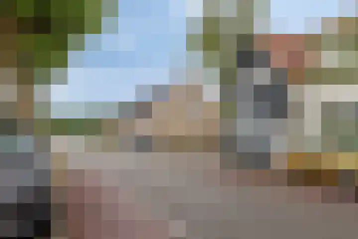 Wouwsestraat 1 Steenbergen thumbnail 5