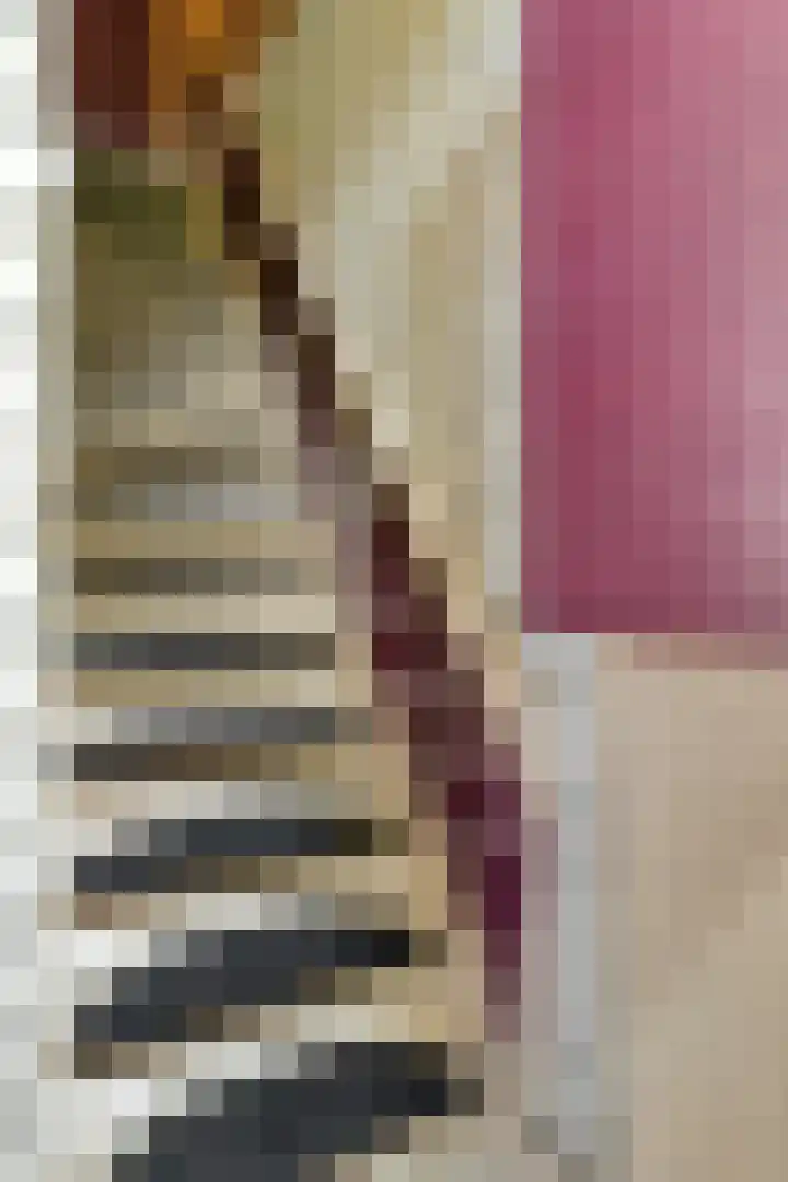 Wouwsestraat 1 Steenbergen thumbnail 7