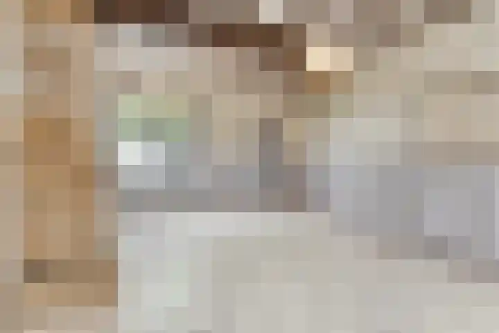 Wouwsestraat 1 Steenbergen thumbnail 9