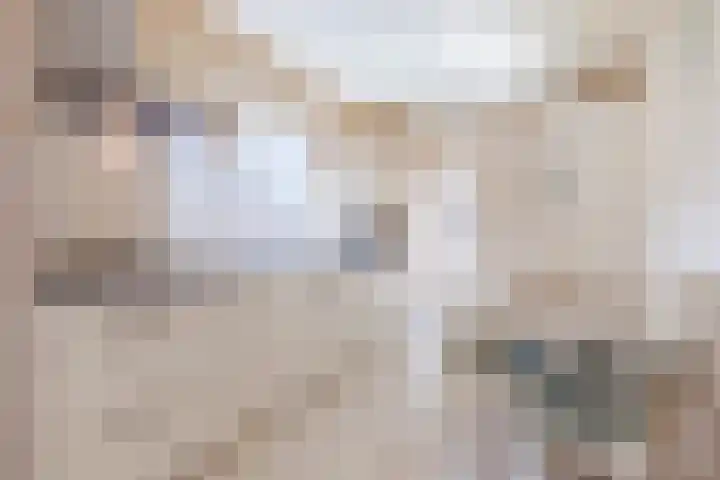 Wouwsestraat 29 Steenbergen thumbnail 11