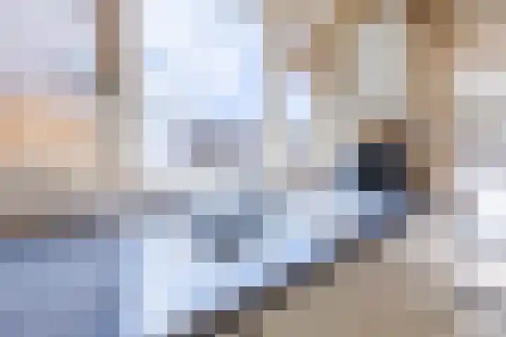 Wouwsestraat 29 Steenbergen thumbnail 13