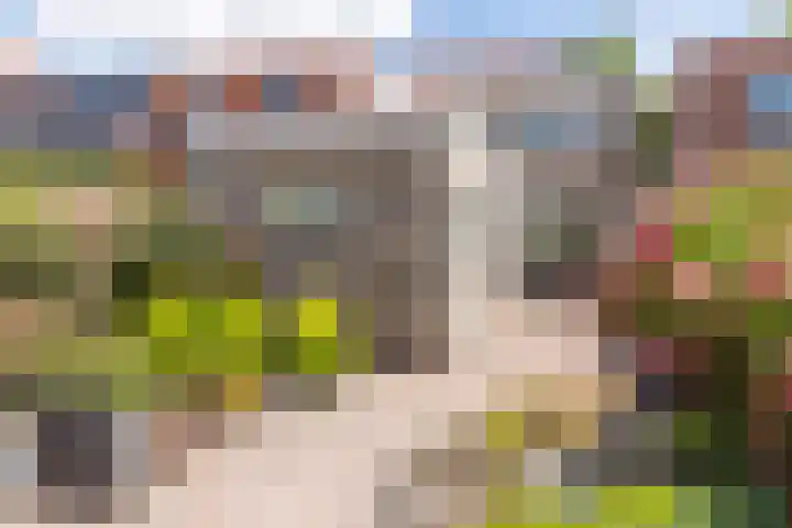 Wouwsestraat 29 Steenbergen thumbnail 34