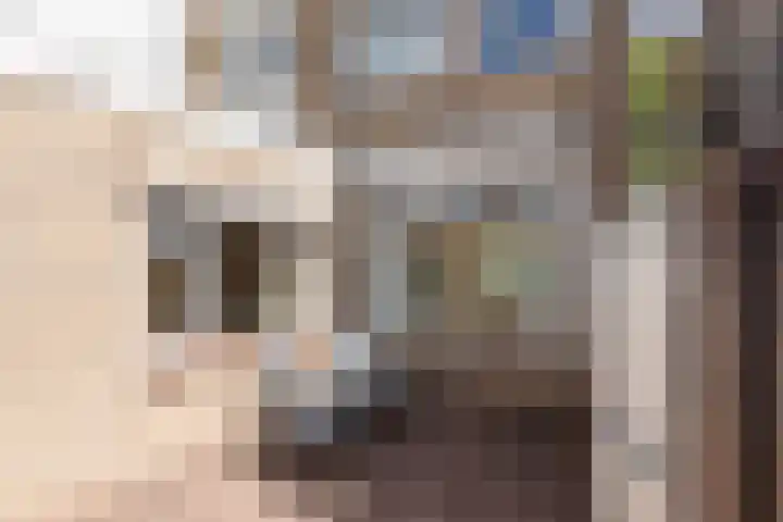Wouwsestraat 29 Steenbergen thumbnail 36