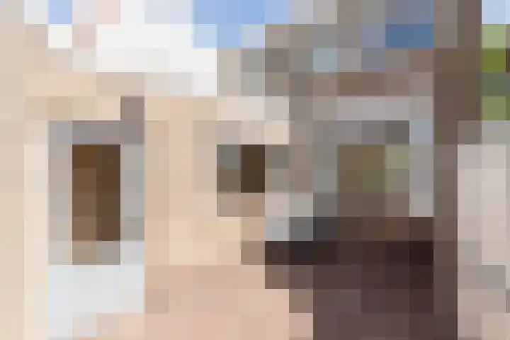 Wouwsestraat 29 Steenbergen thumbnail 39