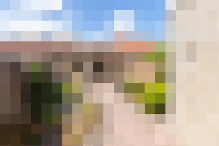 Wouwsestraat 29 Steenbergen thumbnail 41