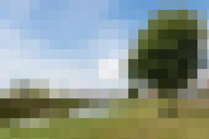 Wouwsestraat 29 Steenbergen thumbnail 47