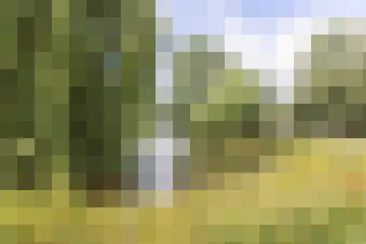 Wouwsestraat 29 Steenbergen thumbnail 48