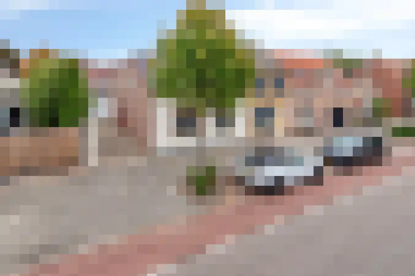 Wouwsestraat 50 Steenbergen thumbnail 4