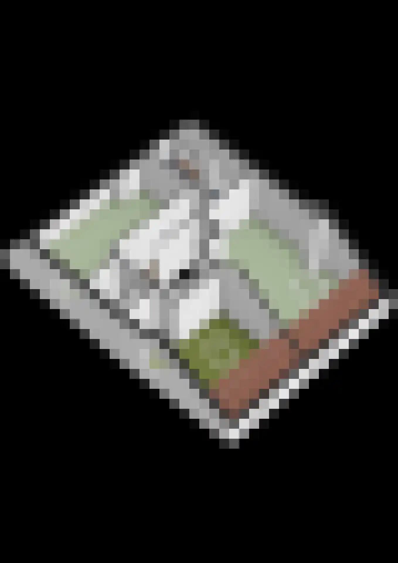 Wouwsestraat 50 Steenbergen thumbnail 46