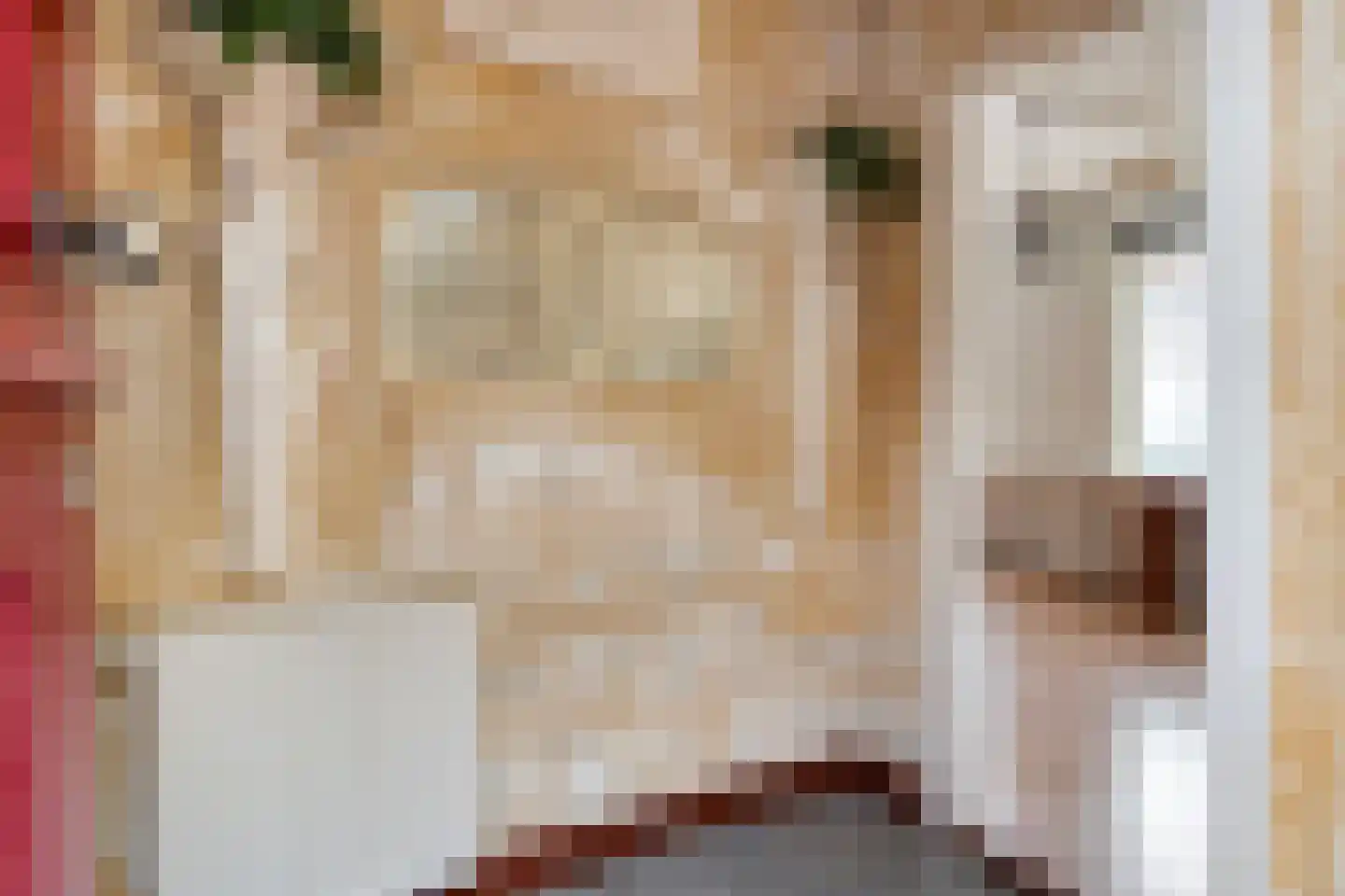 Wouwsestraat 50 Steenbergen thumbnail 9