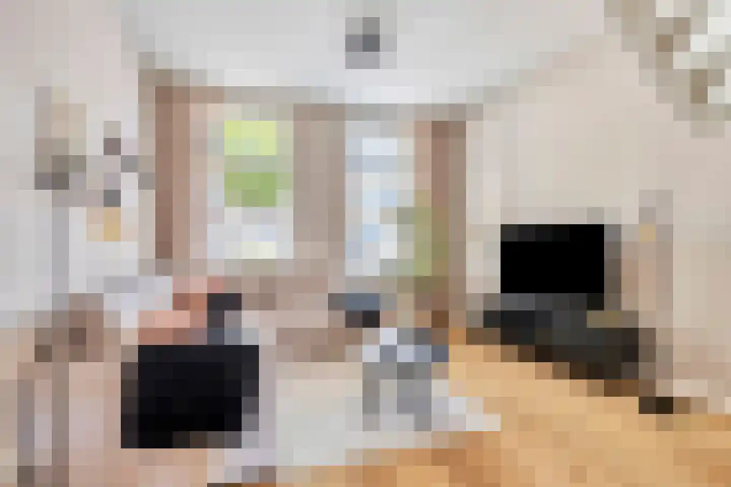 Wouwsestraat 69 Steenbergen thumbnail 10