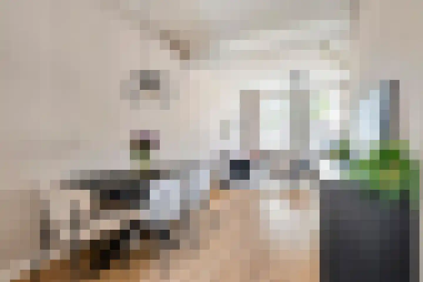 Wouwsestraat 69 Steenbergen thumbnail 11
