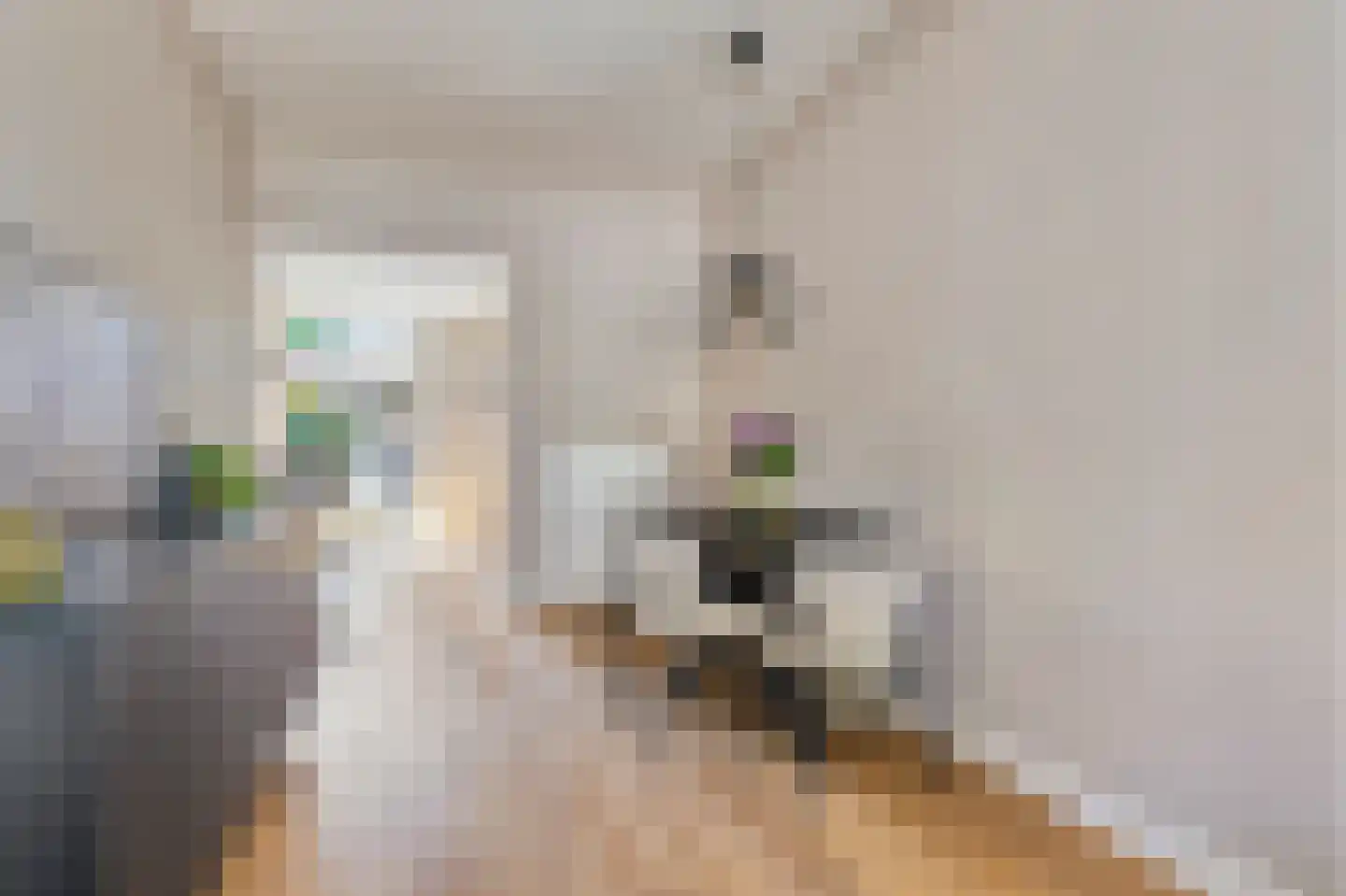 Wouwsestraat 69 Steenbergen thumbnail 17