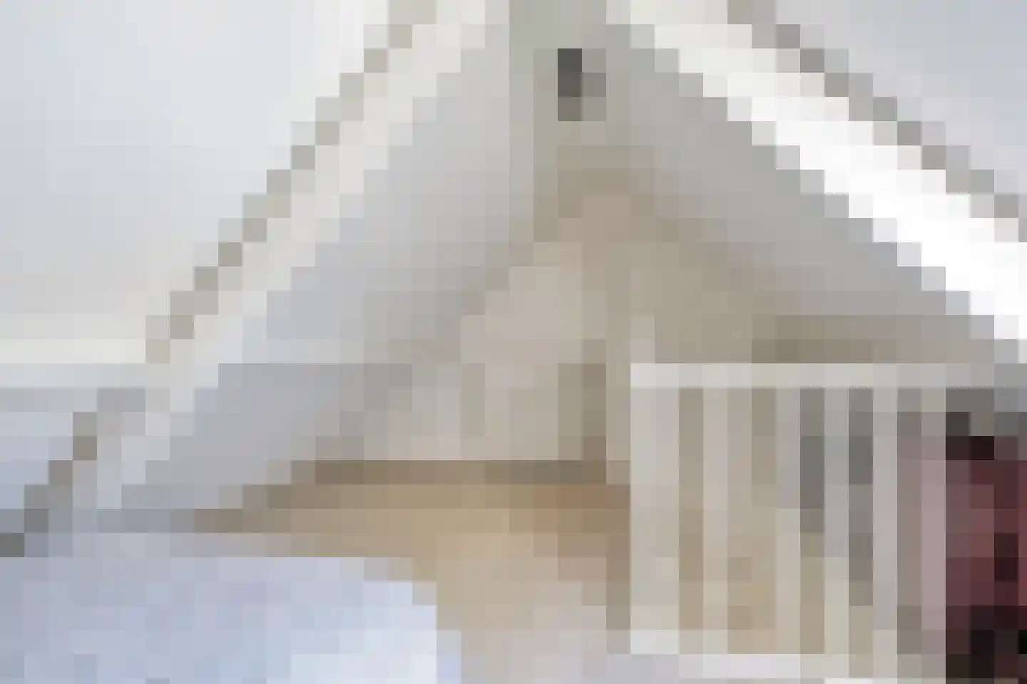 Wouwsestraat 69 Steenbergen thumbnail 29