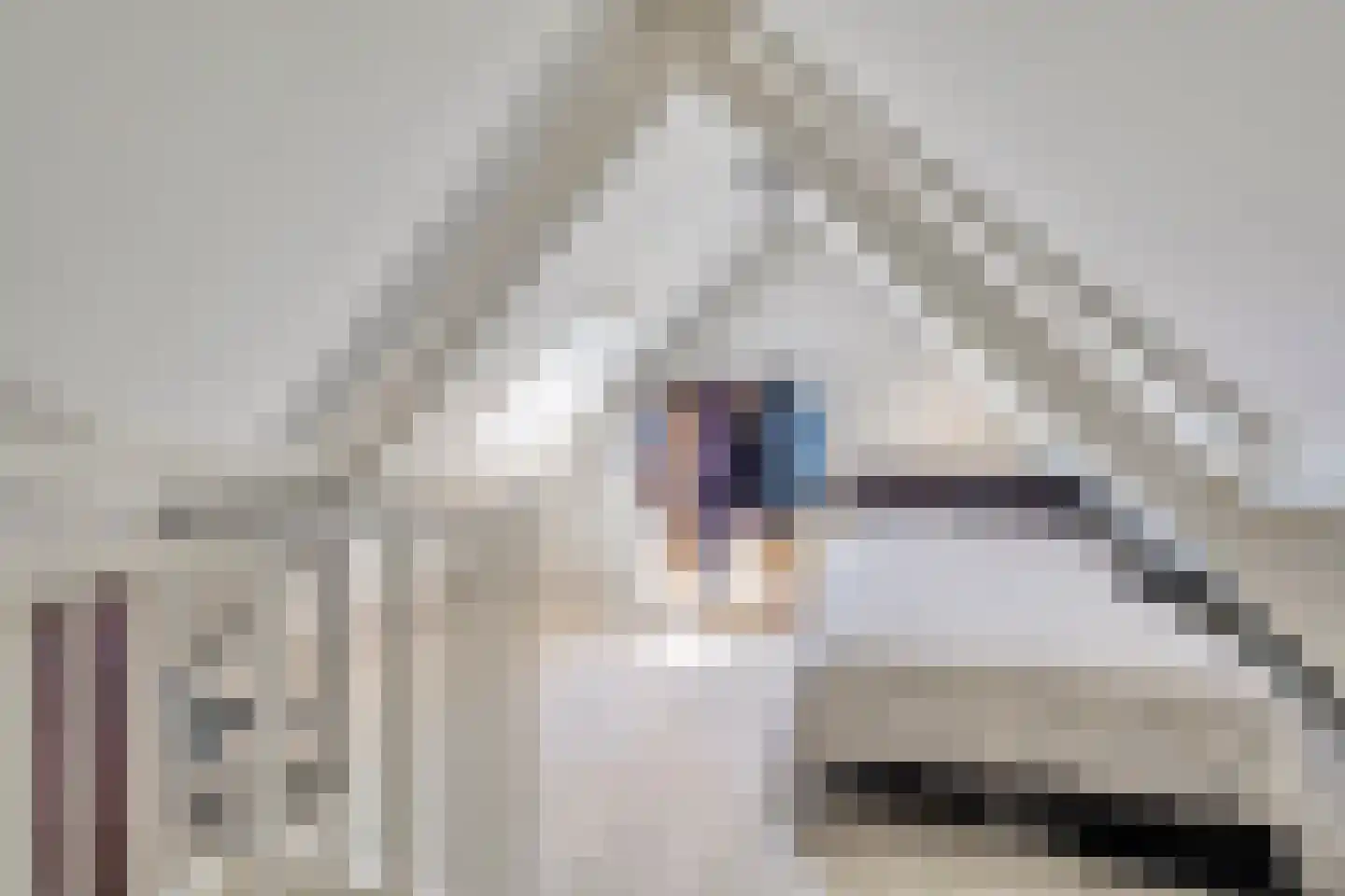 Wouwsestraat 69 Steenbergen thumbnail 30
