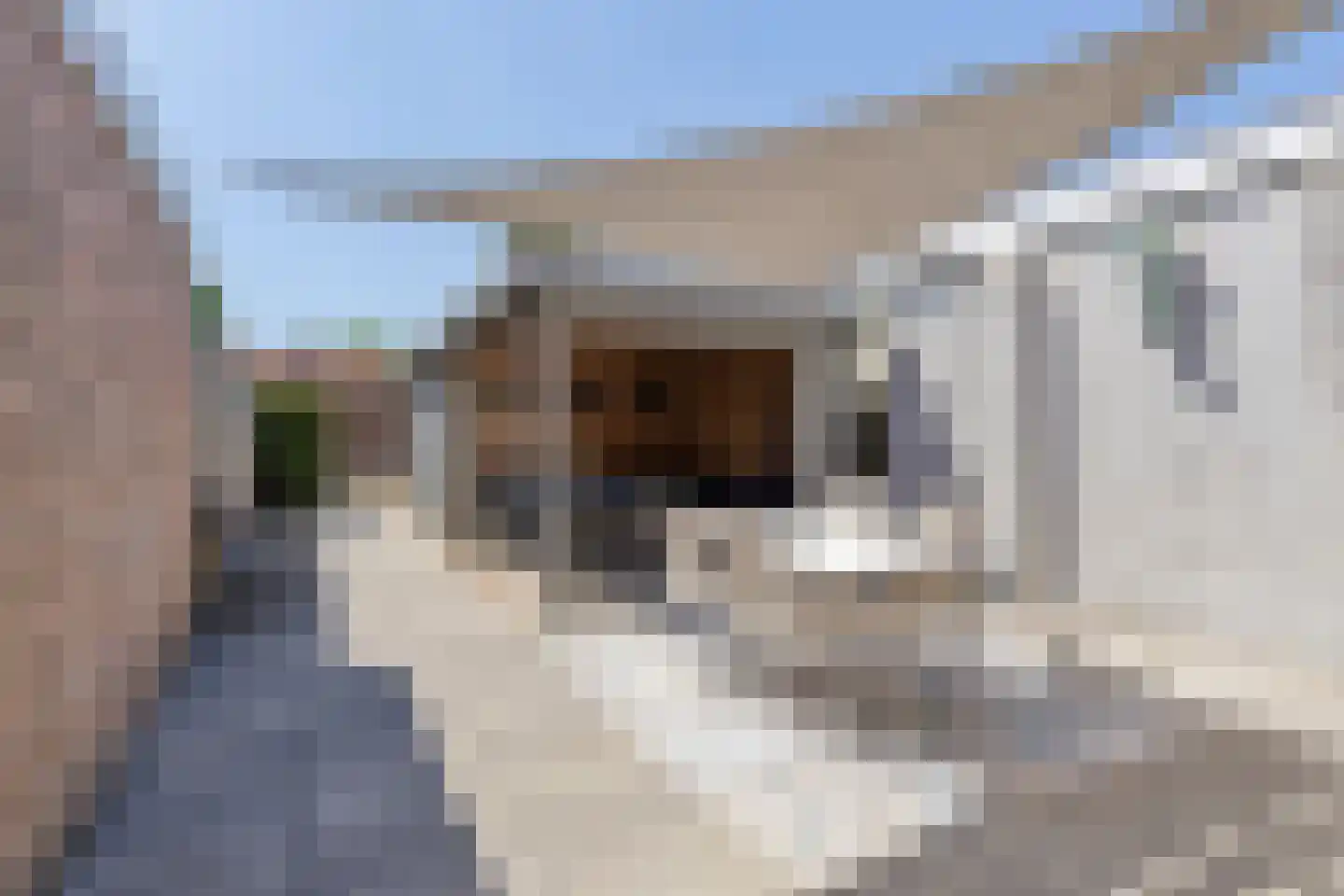 Wouwsestraat 69 Steenbergen thumbnail 31